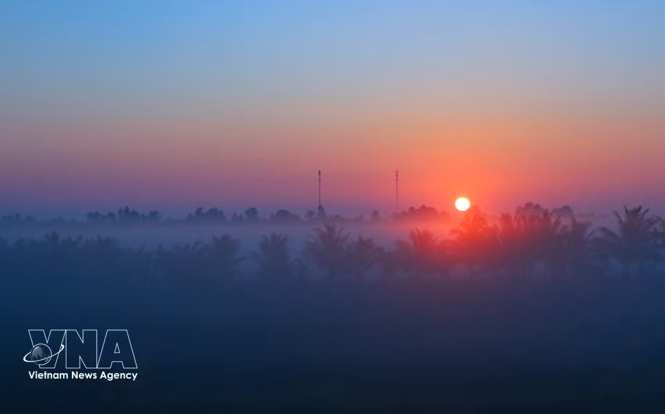 Fields at daybreak in Can Tho. (Photo: VNA)