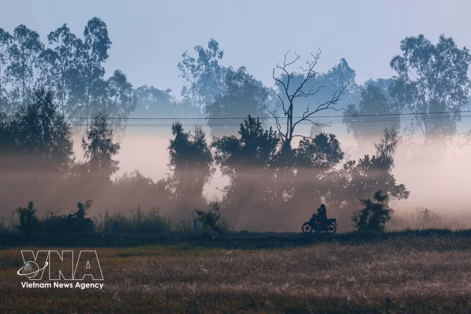 Quiet village roads in Can Tho in the early morning. (Photo: VNA)