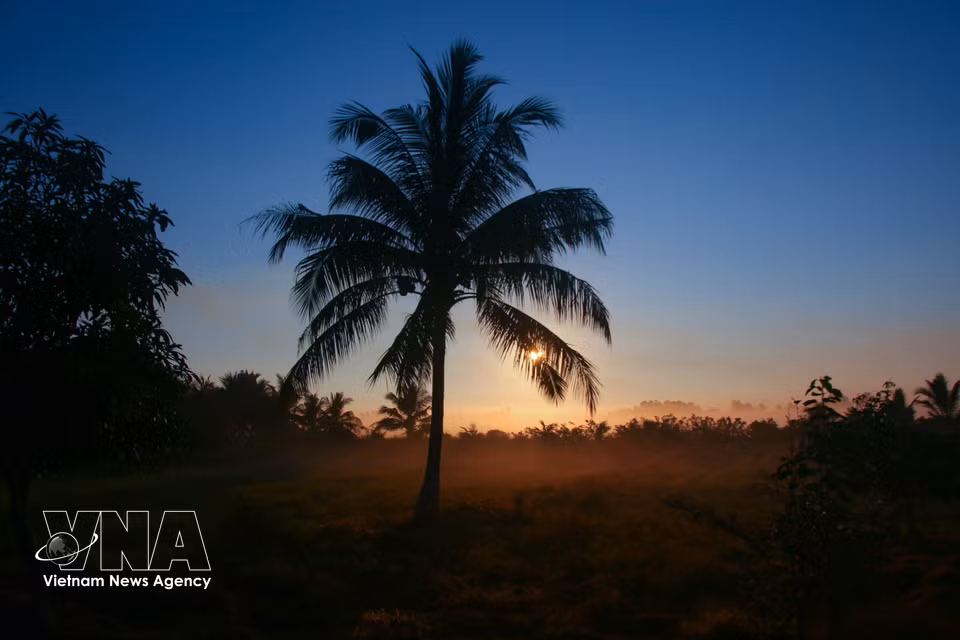Seasonal changes bring a distinct character to Can Tho’s countryside. (Photo: VNA)