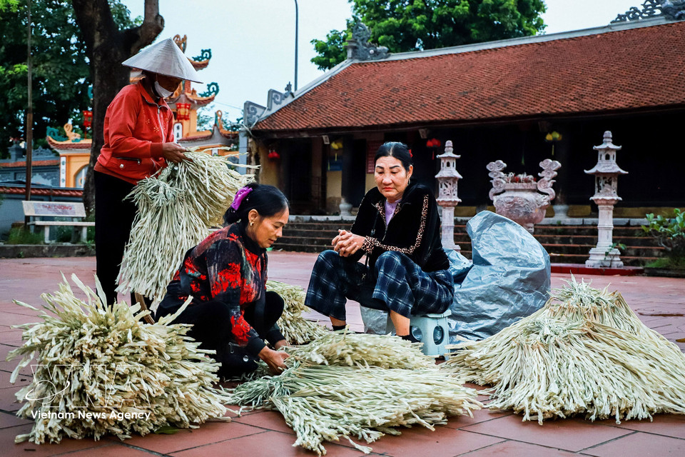 Outside the pagoda yard, traders sell la lui (young palm leaves) - the primary material for making Chuong conical hats. Sourced from Thanh Hoa and Ha Tinh provinces, the leaves are treated by rubbing with sand and sun-dried for two to three days until they turn a silvery white, becoming soft and easy to shape. They are then bundled into bunches of 50 to 100 leaves, priced between 65,000 and 200,000 VND (3 - 8 USD) depending on quality. (Photo: VNA)