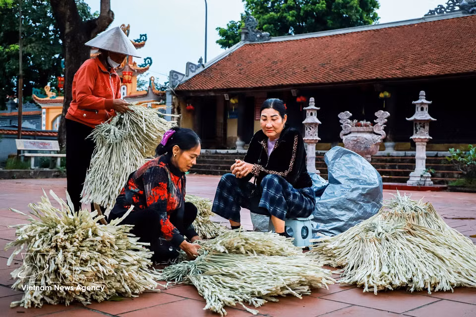 Outside the pagoda yard, traders sell la lui (young palm leaves) - the primary material for making Chuong conical hats. Sourced from Thanh Hoa and Ha Tinh provinces, the leaves are treated by rubbing with sand and sun-dried for two to three days until they turn a silvery white, becoming soft and easy to shape. They are then bundled into bunches of 50 to 100 leaves, priced between 65,000 and 200,000 VND (3 - 8 USD) depending on quality. (Photo: VNA)