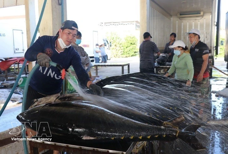 Vietnam’s fisheries move toward high-tech, green and sustainable development