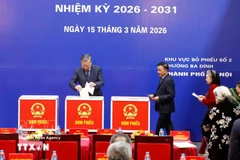 Party General Secretary To Lam casts his vote at Polling Station No. 2, Ba Dinh ward, Hanoi. Photo: VNA