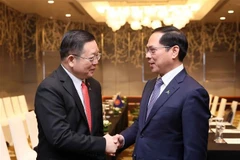 Deputy Prime Minister and Minister of Foreign Affairs Bui Thanh Son meets with ASEAN Secretary-General Kao Kim Hourn in Hanoi on February 25, 2025. Photo: VNA