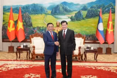 Politburo member and Permanent member of the Party Central Committee’s Secretariat Tran Cam Tu meets with Party General Secretary and President of Laos Thongloun Sisoulith. Photo: VNA