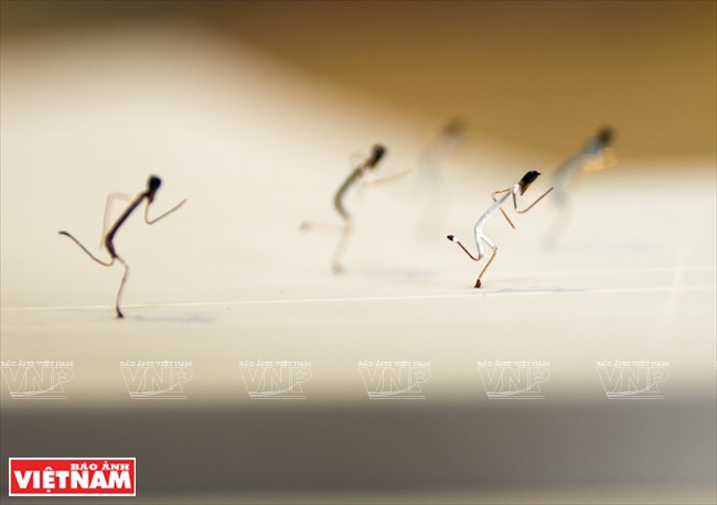 The last miles of a marathon (Photo: VNA)