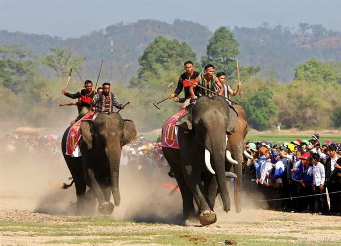 Elephant Race Festival Daklak takes place in springtime, normally in the third lunar month in Buon Don District, Dak Lak Province. It reflects the martial spirit of the M'Nong people in the Central Highlands of Vietnam. (Photo: VNA)