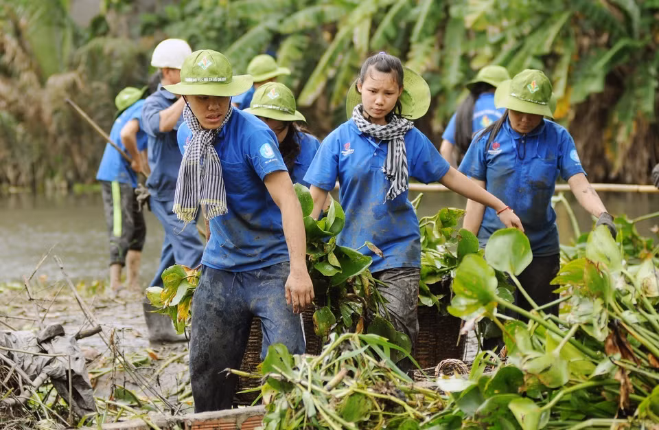 Young people and students volunteer to collect water hyacinth to clear Ong Tong Canal in Go Vap district, HCM City. (Photo: VNA)