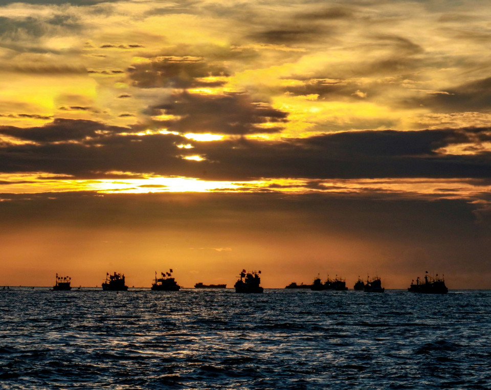 Boats taking part in the Nghinh Ong (Whale Shipping) Festival. (Photo: VNA)