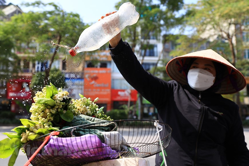 Street vendors sell pomelo flowers for around 1 USD per gram. (Photo: VNA)