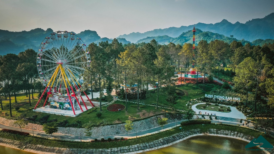 The Ban Ang pine forest is a popular spot for tourists to Moc Chau. (Photo: VNA)