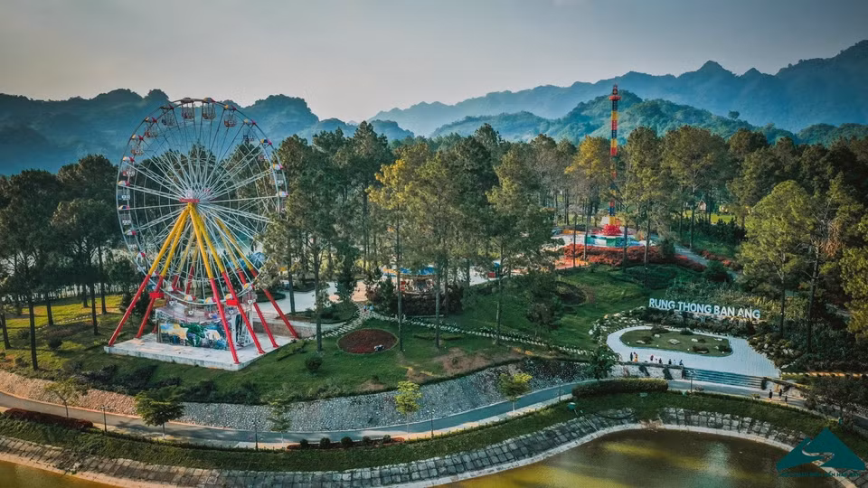 The Ban Ang pine forest is a popular spot for tourists to Moc Chau. (Photo: VNA)