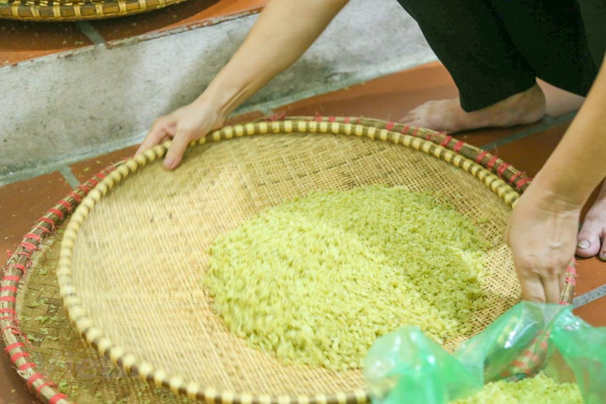 The hardest thing is to choose the quality of the rice to make good quality young green rice (Photo: VNA)