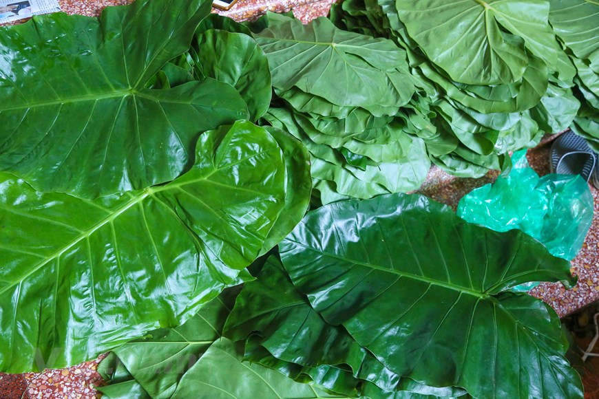 In the past, Com used to be pounded by hand. Nowadays in Vong village, most people use machine to process Com (Photo: The Dai / Vietnam +)