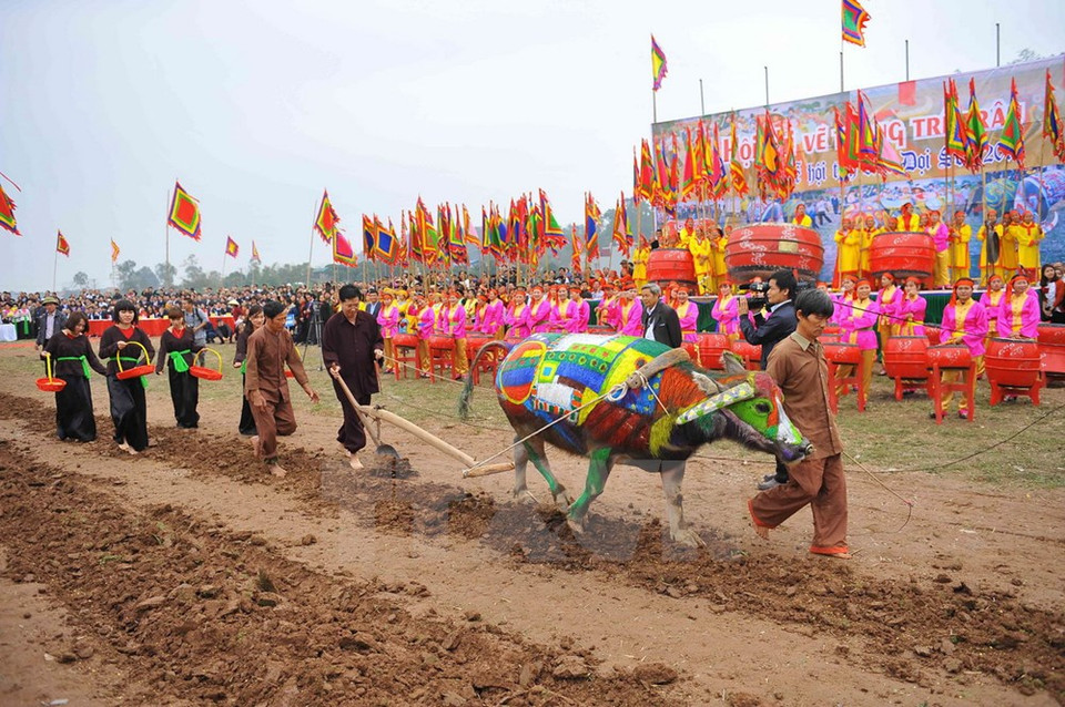 The traditional ploughing ceremony (Photo: VNA)