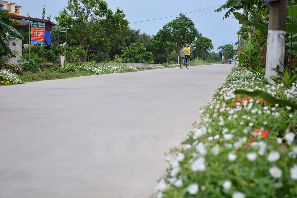 Different types of flowers are selected for roads in Hai Tay commune (Source: VNA)