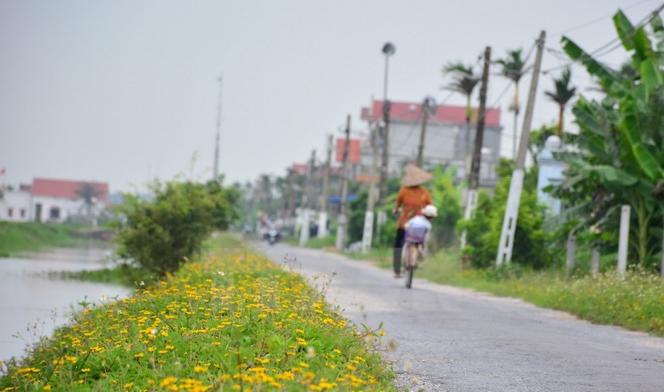 Hai Quang commune (Source: VNA)