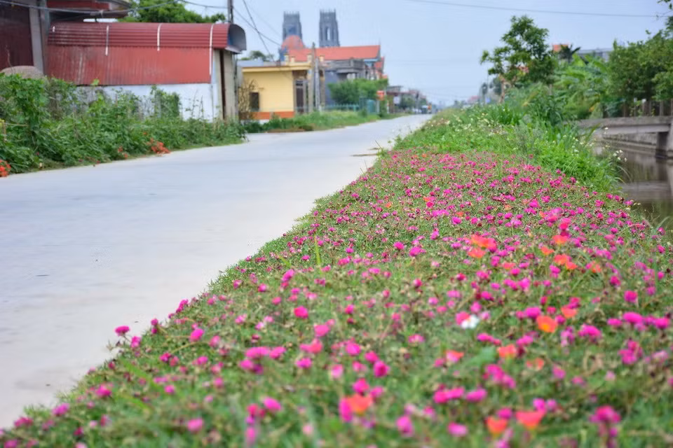 A road in Hai Dong commune (Source: VNA)