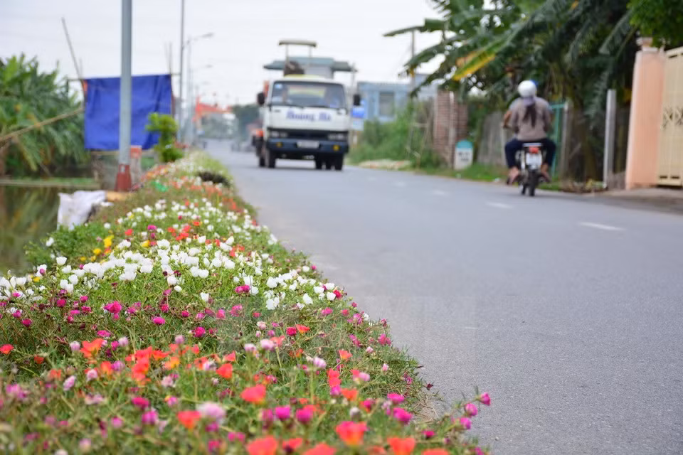  Hai Tay commune (Source: VNA)