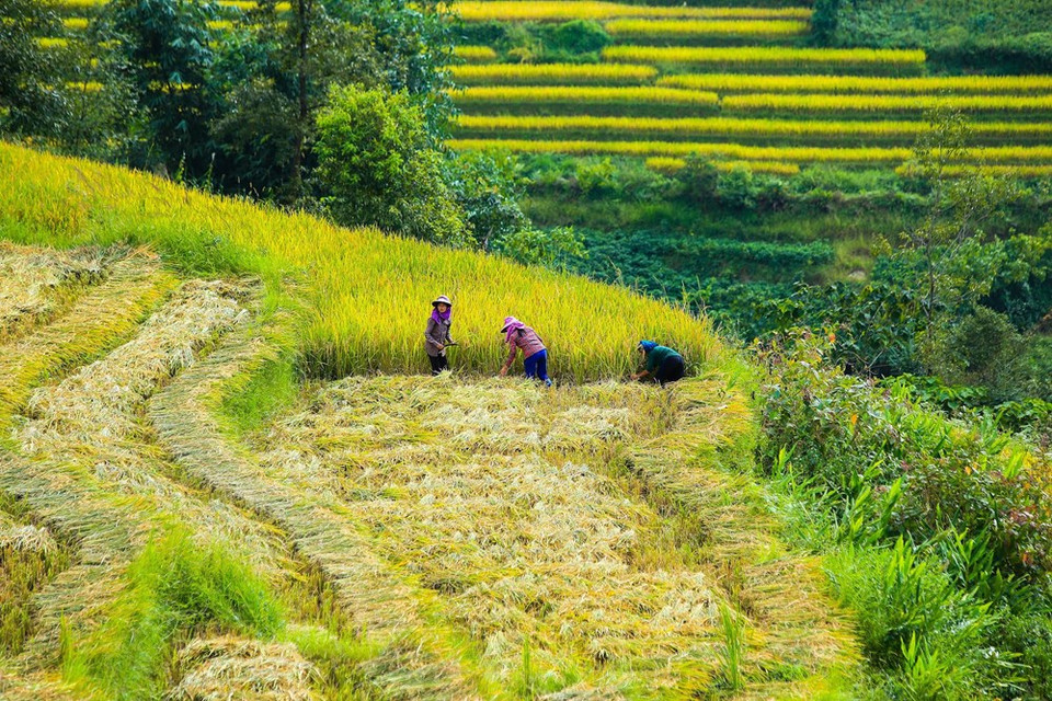 Being famous for the beauty of both Nature and People, Y Ty is a praiseworthy and untouched destination for photography, culture exploration, and nature-friendly vacation (Photo: Vietnam+)