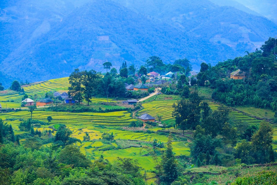 From the high view, the houses look like the colorful giant mushrooms on the hill (Photo: Vietnam+)