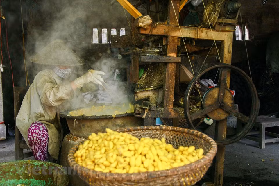 Some families in the village can earn more than 20million VND/month (Photo: Vietnam+)