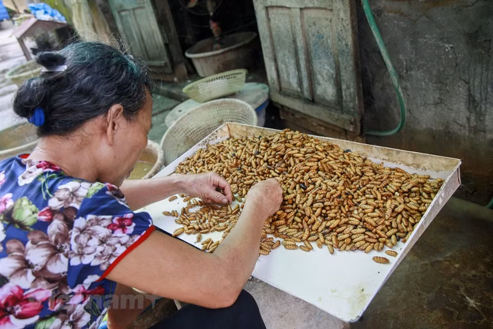 The development of the craft of making silk thread in Co Chat provides jobs for a large number of workers in the region with an average income of about 2-3million VND/month (Photo: Vietnam+)