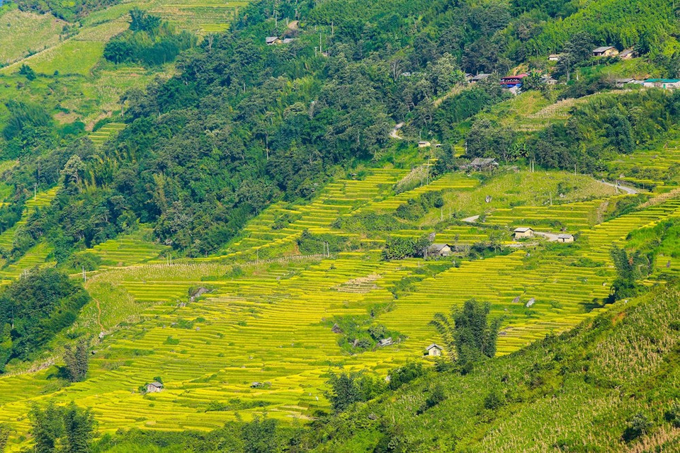 The terraced rice fields look like a watercolour picture, enchanting visitors (Photo: Vietnam+)