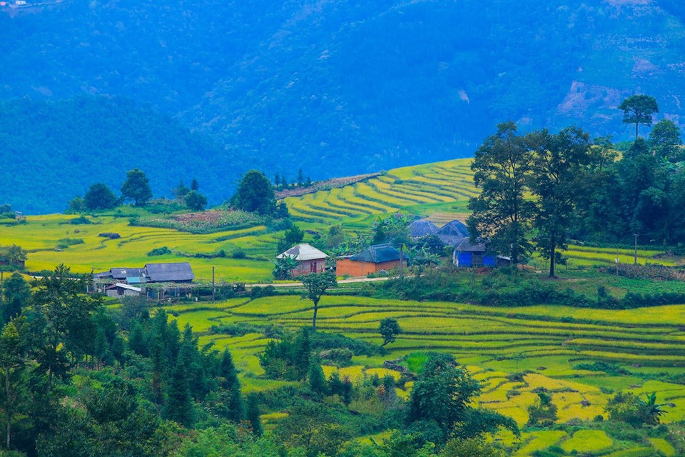 By cutting a series of receding flats into the mountain, the risk of devastation by surface runoff and erosion is reduced (Photo: Vietnam+)