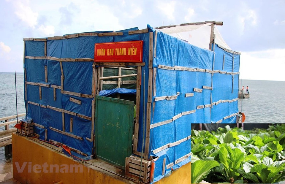 Truong Sa has become a place full of greenery, the green of vitality, belief and hope (Photo: Vietnam+)