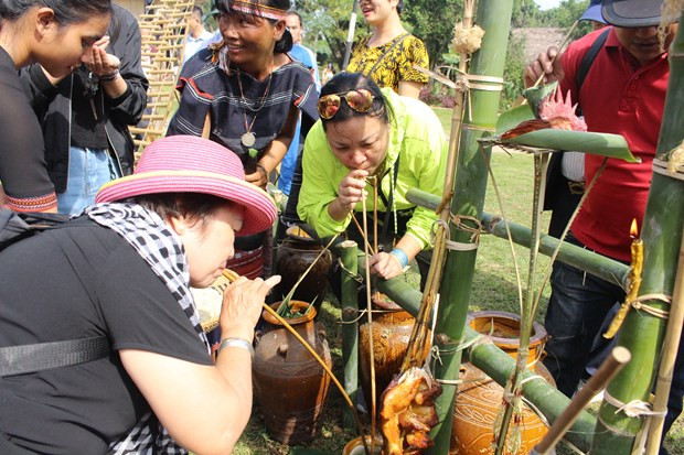 Visitors enjoy ruou can (rice wine drunk from a jar through stalks) at the ceremony. Ruou can is a fermented rice wine produced in in mountainous areas like the Central Highlands or the Northwestern region. It is made of cooked glutinous rice mixed with several kinds of herbs (including leaves and roots) in the local forests. The types and amount of herbs added differ according to ethnic group and region. This mixture is then put into a large earthenware jug, covered, and allowed to ferment for at least one month. When it came to the harvest or festivals, villagers gather together, playing instruments and drinking ruou can until everyone gets drunk. (Photo: VietnamPlus)