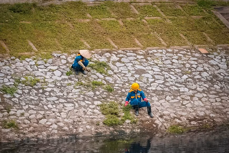 Besides cleaning the river, environment workers also tidy up its bank by sweeping dirt and trimming trees and grass (Photo: VNA)