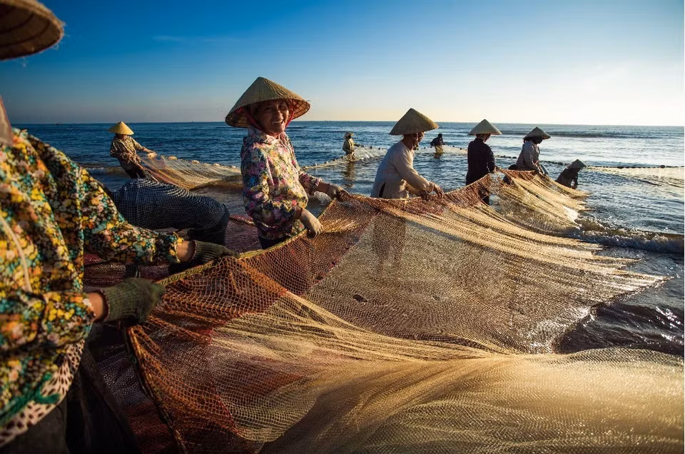 Women in Thanh Hoa go onshore fishing by using fishnet (Photo: VNA)