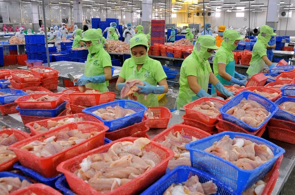 Workers in Hung Ca Co., Ltd. in Dong Thap province process pangasius for exports (Photo: VNA)