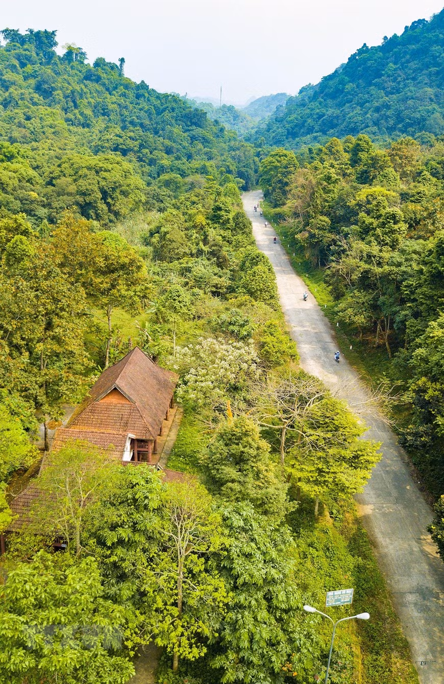 Cuc Phuong national park (Photo: VNA)