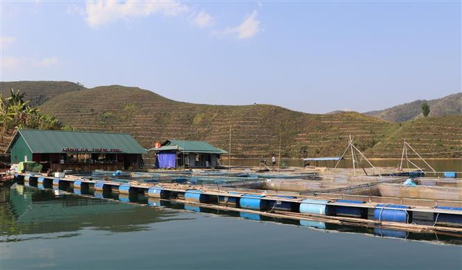 Fish cage farming is a new trade, bringing good incomes for farmers in the northern mountainous province of Lai Chau (Photo: VNA)