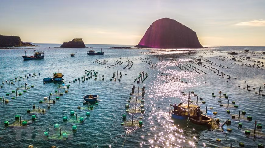 Aerial shot of the lobster farming area (Photo: VNA)