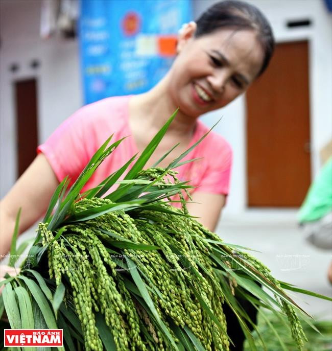 Me Tri green rice is made from fleshy, soft and fragrant grains (Photo: VNA)