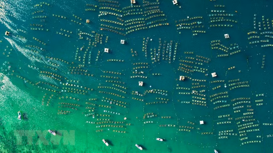 Aerial shot of the lobster farming area (Photo: VNA)