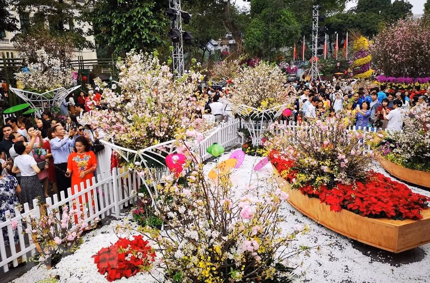 Some 20,000 cherry blossom branches and 100 cherry trees of Japan, along with hundreds of local flowers show off their beauty in Hanoi (Photo: VNA)