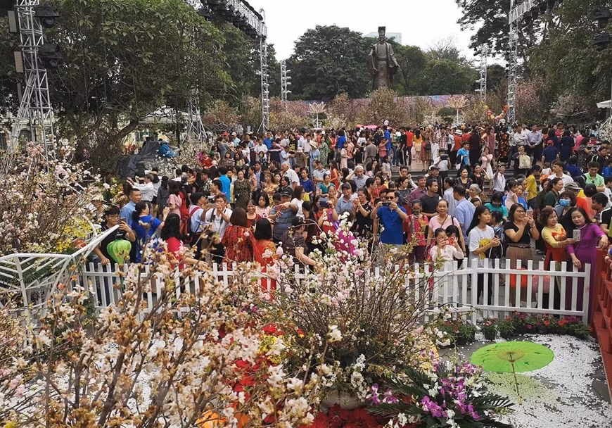 Japanese cherry blossom festival in Hanoi lasts for one more day, until 10pm of April 1 instead of March 31 (Photo: VNA)