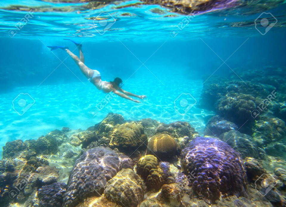 Tourists visiting Cu Lao Cham now can see creatures and coral reefs in the seabed (Photo: VNA)