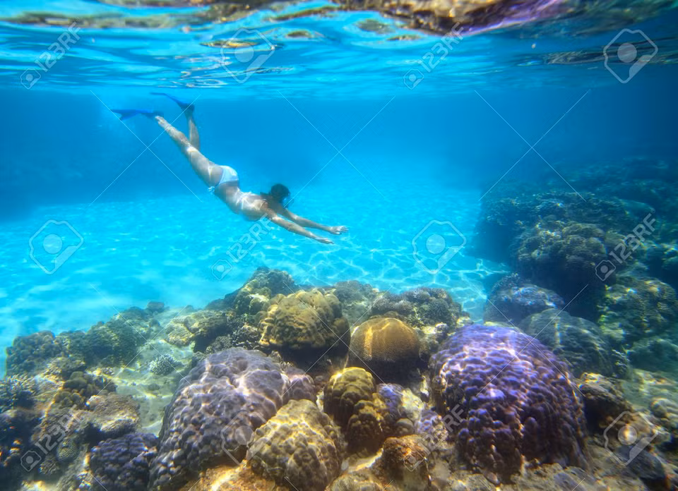 Tourists visiting Cu Lao Cham now can see creatures and coral reefs in the seabed (Photo: VNA)