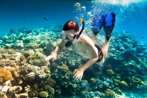 A seabed walking service was launched in late April and began to serve tourists in the beginning of May (Photo: VNA)