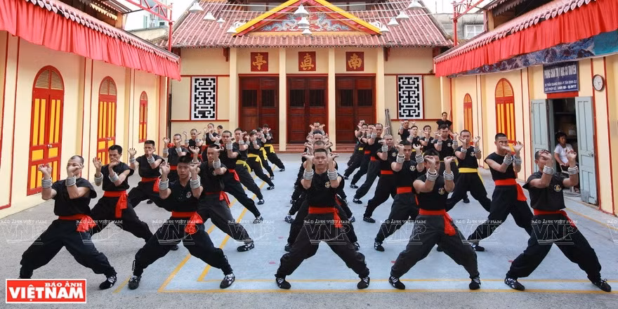 Traditional Vietnamese martial arts feature more than 100 schools (Photo: VNA)