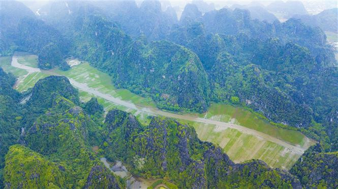 Green paddy fields along Ngo Dong river are among tourist attractions in Tam Coc-Bich Dong tourism site (Photo: VNA)