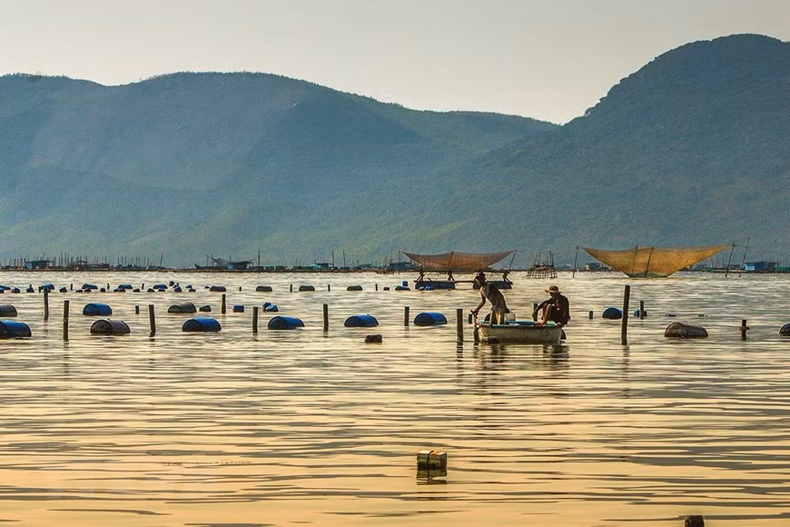 Lobster farming cages in Xuan Dai bay, Song Cau town (Photo: VNA)