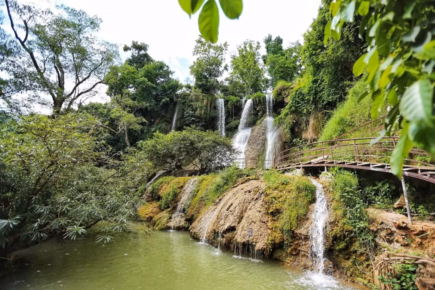 The two branches are located about 200 meters from each other. Between the two branches is flat ground, favourable for visitors to take photos (Photo: Nam Nguyen/ Vietnamplus)