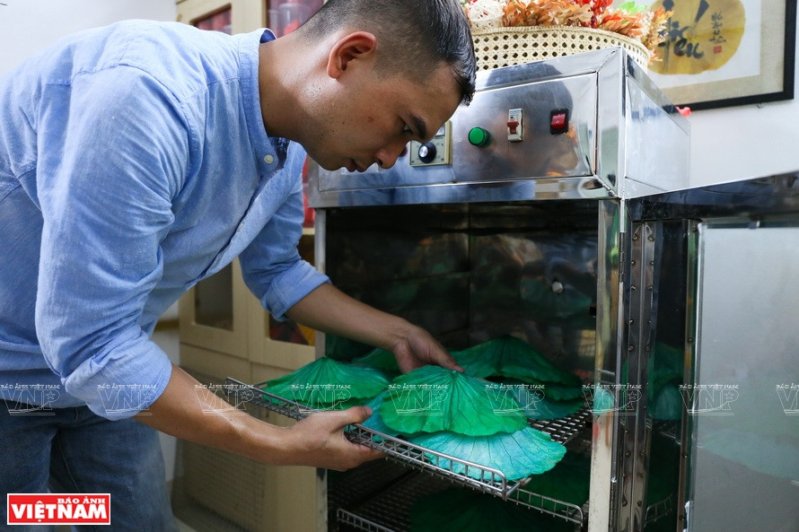 Dung often chooses lotus leaves grown in the deepest waters of West Lake. He then cleans and dyes the leaves in different colours depending on the content he wants to convey in his paintings. Dung uses food coloring to soak the leaves to ensure safety for users (Photo: VNP/VNA)