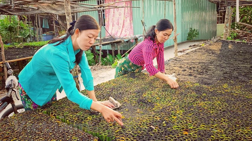 Manual seedling cultivation village has seen many generations growing up and pursuing the career (Photo: Vietnam)+)